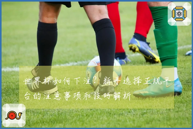世界杯如何下注？新手选择正规平台的注意事项和技巧解析