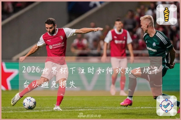 2026世界杯下注时如何识别正规平台以避免损失