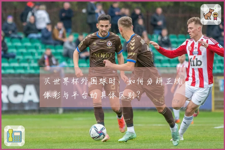 买世界杯外围球时，如何分辨正规体彩与平台的具体区别？