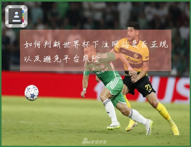如何判断世界杯下注网站是否正规以及避免平台风险