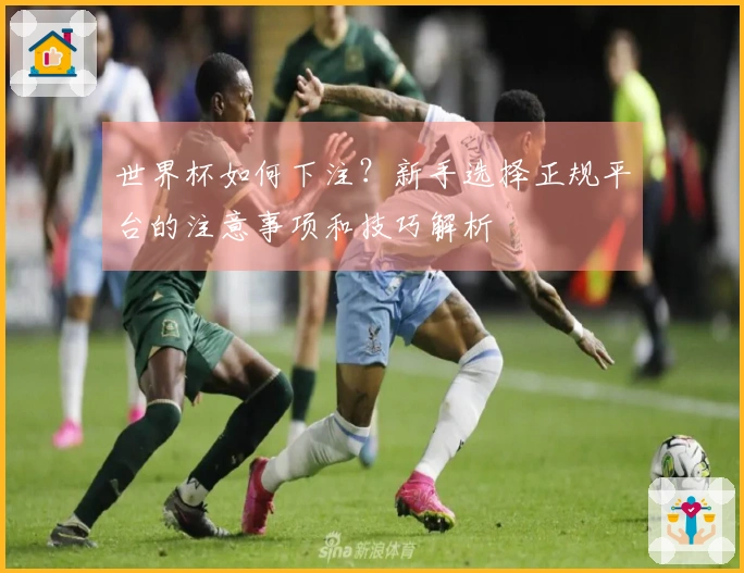 世界杯如何下注？新手选择正规平台的注意事项和技巧解析